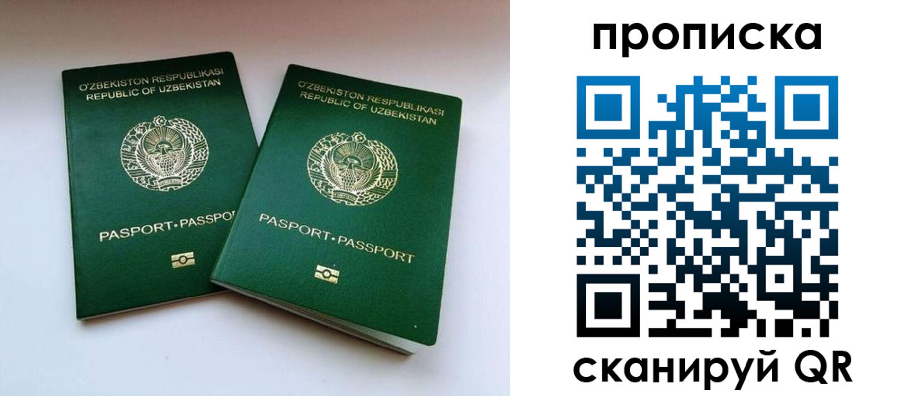 прописка поиск в Можайске
